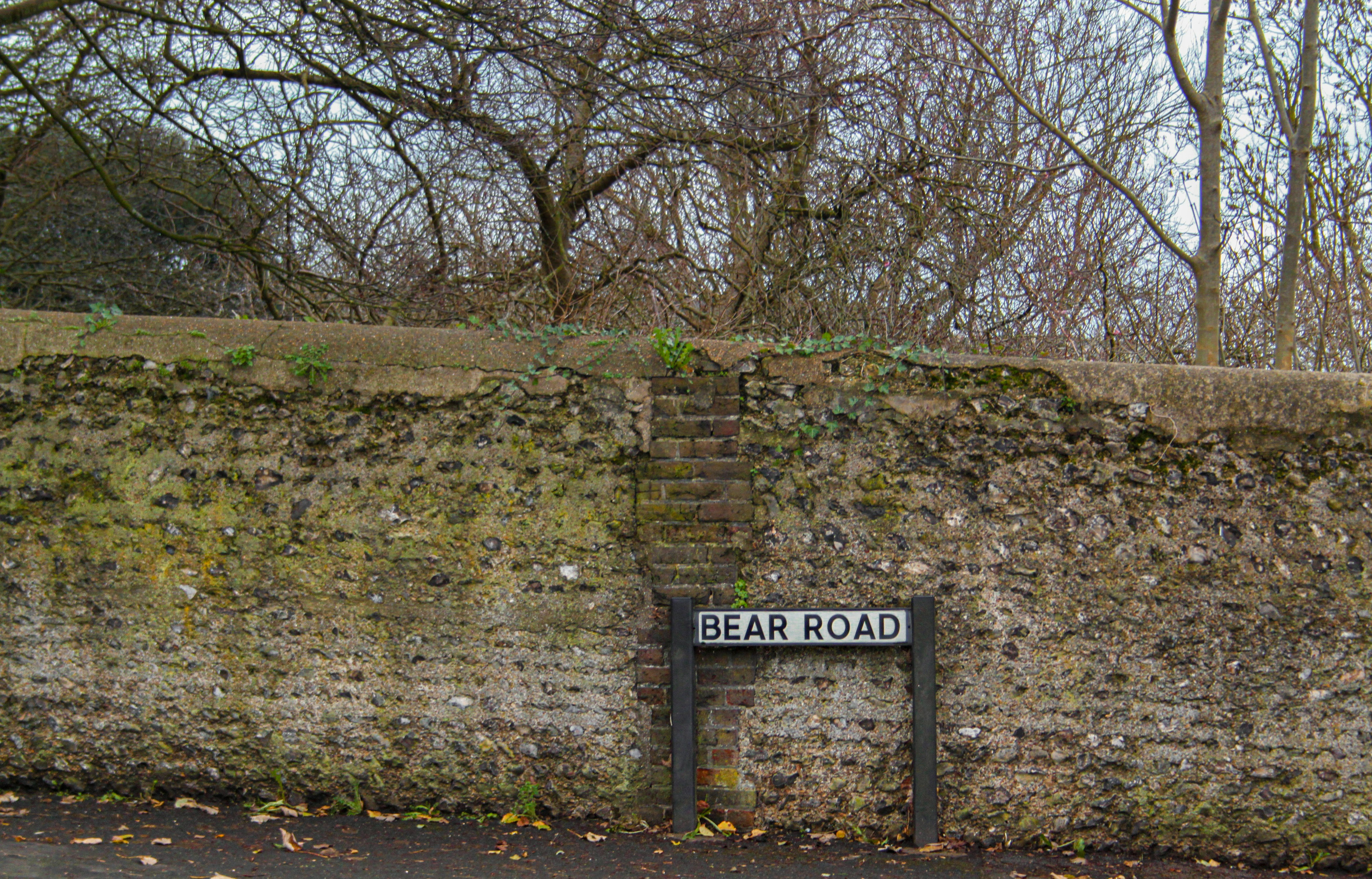 brown bare trees near brown brick wall